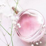 Fragrances & Perfumes for Women 