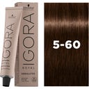 IGORA ROYAL Absolutes - Coloração, 5-60 Castanho claro chocolate natural (60 ml)