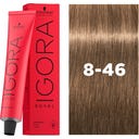 Schwarzkopf Professional IGORA ROYAL - Colorazione - 8-46