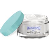 Rosa Mosqueta 24H Feuchtigkeitspflege