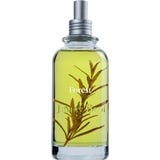 Jimmy Boyd Fragancia Forest Organic Fresh