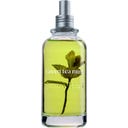 Jimmy Boyd Fragranza fresca biologica al tè e menta - 200 ml