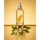 Jimmy Boyd Orange Blossom Organic Fresh Fragrance - 200 ml