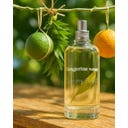 Jimmy Boyd Tangerine Organic Fresh Fragrance - 200 ml