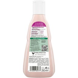 GUHL Reparatur & Aufbau Shampoo - 250 ml