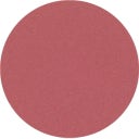Neve Cosmetics Bloos in Cialda - Oolong