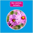 Poliboy Geruchs Stopp - 500 ml