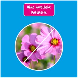 Poliboy Geruchs Stopp - 500 ml