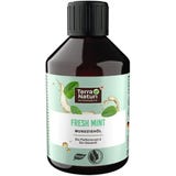 Terra Naturi FRESH MINT Mundzieh&ouml;l