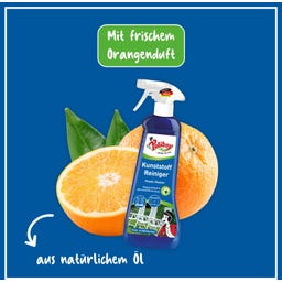 Poliboy Kunststoff Reiniger - 500 ml