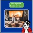 Poliboy Kaminglas Reiniger - 500 ml