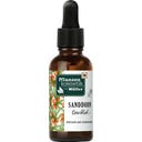 Pflanzenkosmetik by Müller Sea Buckthorn Face Oil - 30 ml