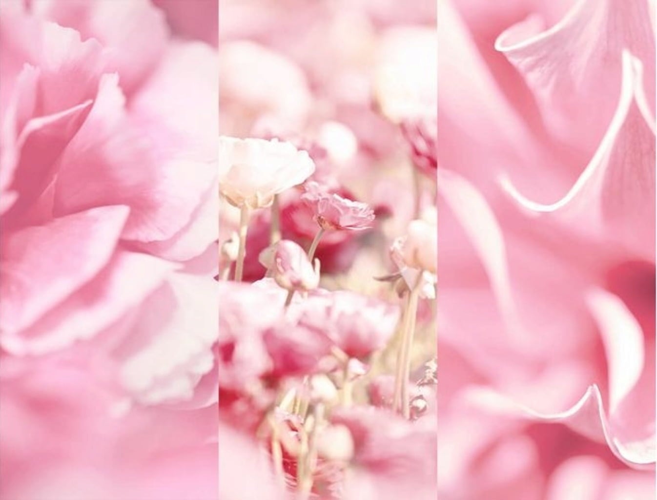 8x4 Spray No. 3 Velvet Blossom - 150 ml
