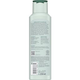 lavera Shampoo Fresh & Clear - 250 ml