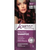 Professional Shampoo Tonalizante