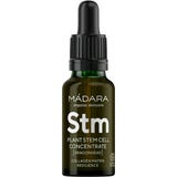 Custom Actives Plant Stem Cell Concentrate