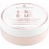 SILKY BLUR translucent loose setting powder