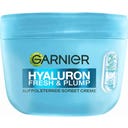 Hyaluron Fresh & Plump Creme Sorbet Preenchedora - 85 g
