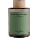 Jean&Len Basil Mint - Dyfuzor zapachowy - 100 ml