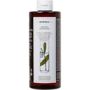Laurel & Echinacea Champô Anticaspa para Couro Cabeludo Seco - 400 ml