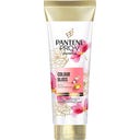 PANTENE PRO-V miracles Colour Gloss Pflegespülung - 160 ml