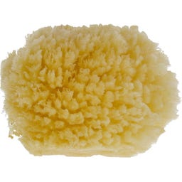 PARSA Beauty Baby Naturmeeresschwamm Mini - 1 Stk