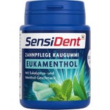 Eucalyptus Menthol Dental Care Chewing Gum