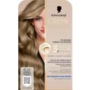 Creme Supreme 8-16 Chłodny Popielaty Jasny Blond - 182 ml
