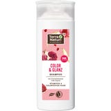 Terra Naturi Shampoing COLOR & BRILLANCE