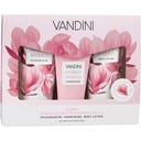 Hydro Magnolienblüte & Mandelmilch Geschenkpackung 3er - 1 Stk