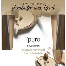 ipuro Essentials Duftkerze Cedar Wood - 125 g