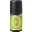 PRIMAVERA Organiczny olejek z eukaliptusa - 5 ml