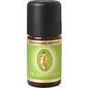 PRIMAVERA Siberische sparrennaalden - 5 ml