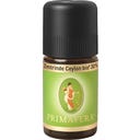PRIMAVERA Kora cynamonu Cejlon 30% bio - 5 ml