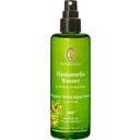 Hamameliswasser bio, 100 ml