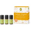 Conjunto Aromático Felicidade Cítrica Bio
