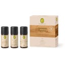 Aromaterapia Sauna Força & Tranquilidade Bio - 1 kit