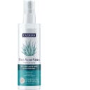 ENZBORN Aloe Vera Premium Spray - 200 ml