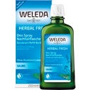 Weleda Sage Deodorant