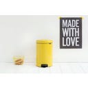 NewIcon - Pattumiera a Pedale 20 L con Inserto in Plastica