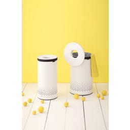 Brabantia Wäschebox 60 Liter mit Kunststoffdeckel