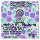 Blueberry Anti-Ox Overnight Renew arckrém-maszk - 50 ml