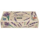 Duchesse Recycled Facial Tissues - 2-Ply - 200 Pcs