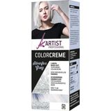 ARTIST Professional Colorcrème Silverfox Grey