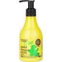 Hair Evolution - Natural Shampoo D-tox