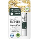 Pflanzenkosmetik von Müller Propolis Lippenpflege
