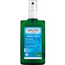 Weleda Déodorant à la Sauge - 100 ml