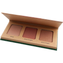 Terra Naturi Highlighter Palette - Shine Bright