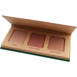 Terra Naturi Highlighter Palette - Shine Bright