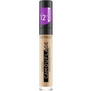 Liquid Camouflage High Coverage Concealer - 048 - Desert Beige
